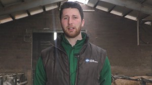 TREVISO “DISEGNA” NUOVI IMPIANTI PER MIGLIORARE LA QUALITÀ