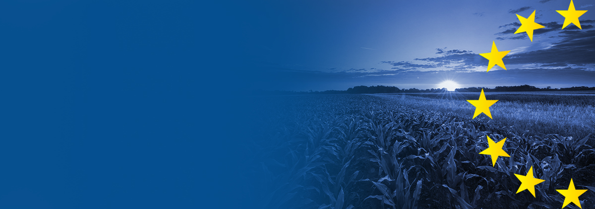 CONOSCI L’AGRICOLTURA EUROPEA?