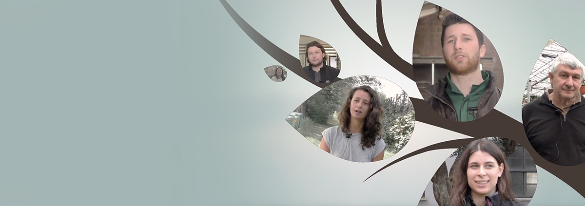 STORIE DI SVILUPPO RURALE: TRA PRESENTE E FUTURO