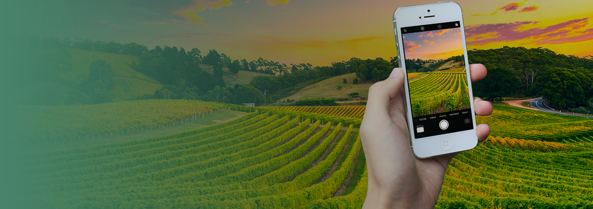 #DIARIDELLATERRA: LA CHALLENGE DEL PSR VENETO PER RISCOPRIRE LE AREE RURALI