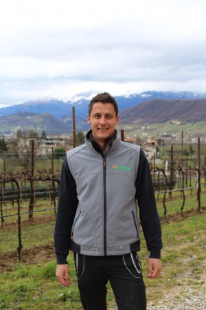 Sulle colline di Refrontolo (TV) investimenti  per una viticoltura sostenibile