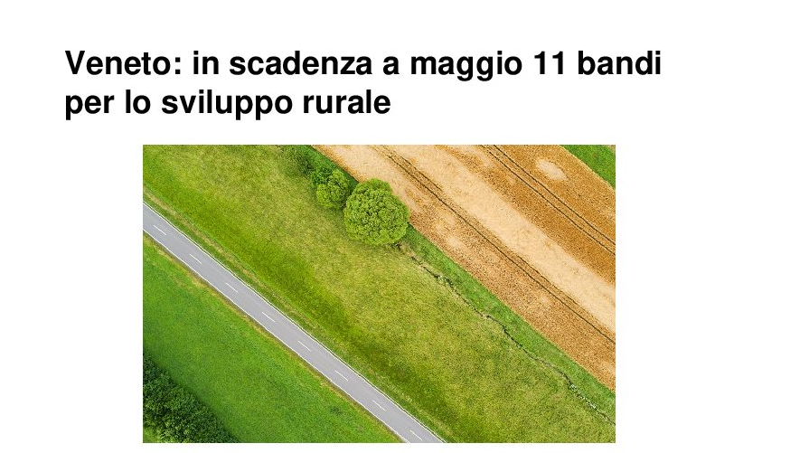 Veneto: in scadenza a maggio 11 bandi per lo sviluppo rurale